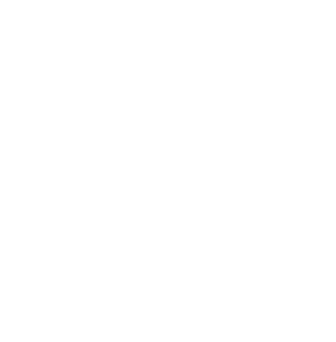 Spedijobs Icon in weiß